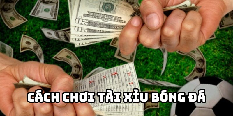 huong-dan-cach-choi-tai-xiu-bong-da-tai-vb777club-cho-tan-thu-188